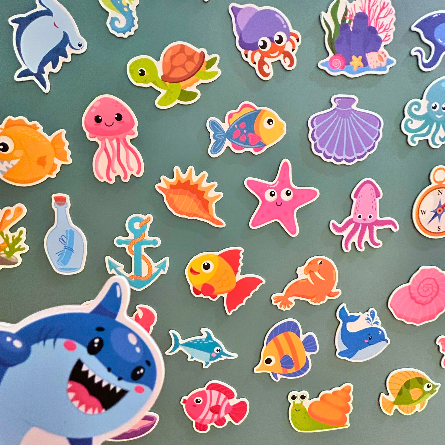 Hav Magneter (47 stk)